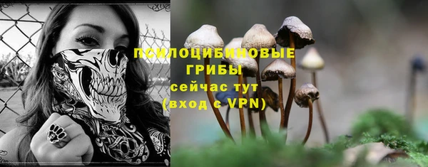 ALPHA PVP Алзамай