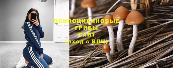 а пвп мука Алексеевка